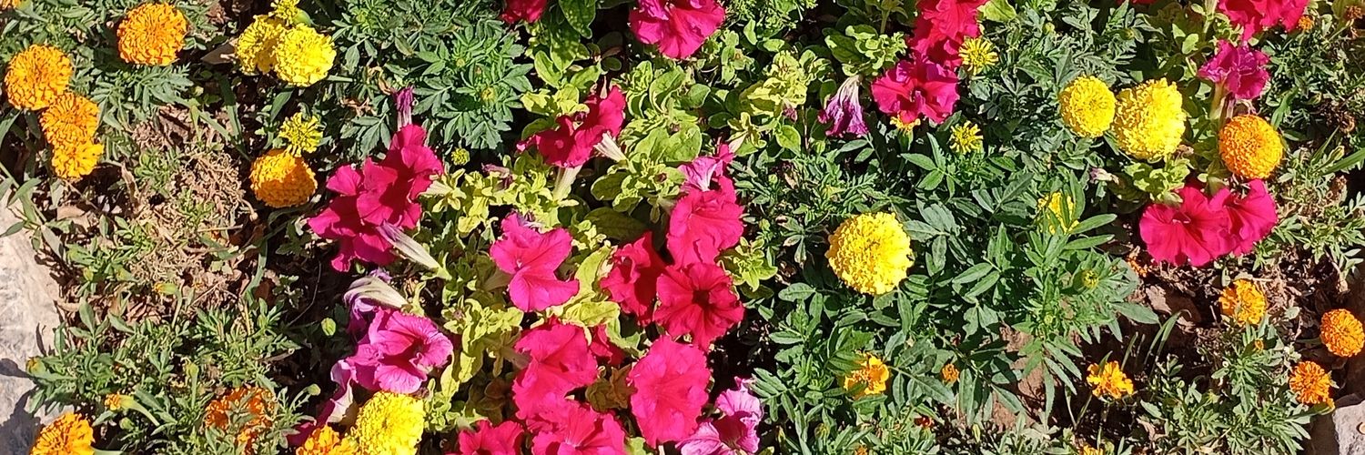 hmishebahar2002's profile banner image
