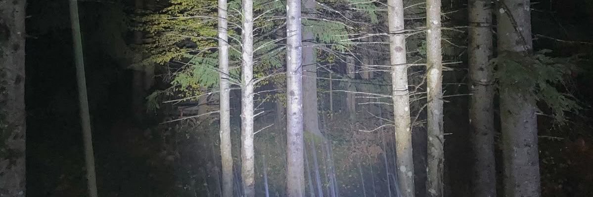 myNepenthee's profile banner image
