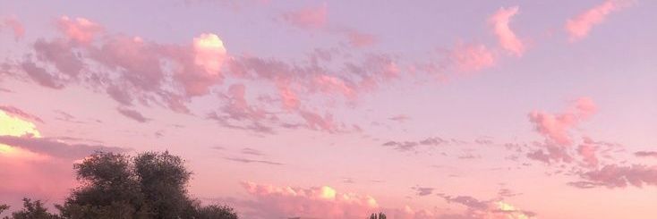 nam. banner
