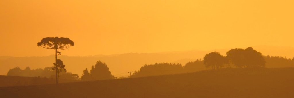 gstvsc's profile banner image