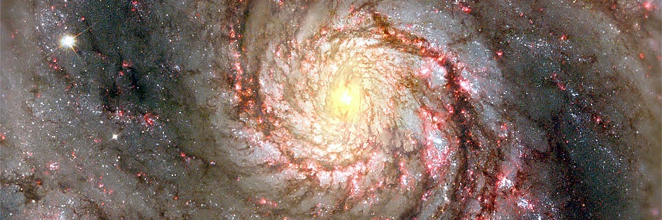 HugoFlip 👽 🛸CEO of aliens💚✨ banner