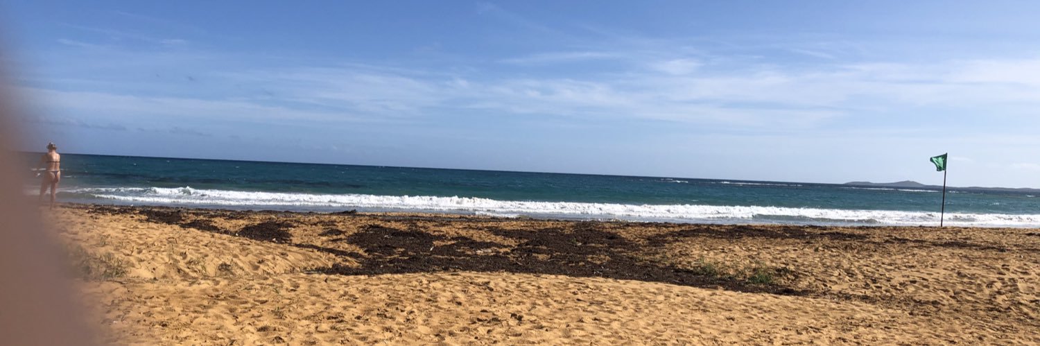 waldertrivera's profile banner image
