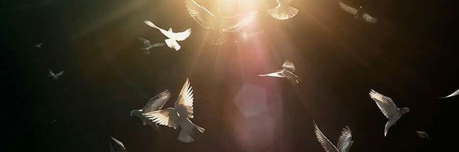 🇺🇸Kimberly🇮🇱 banner