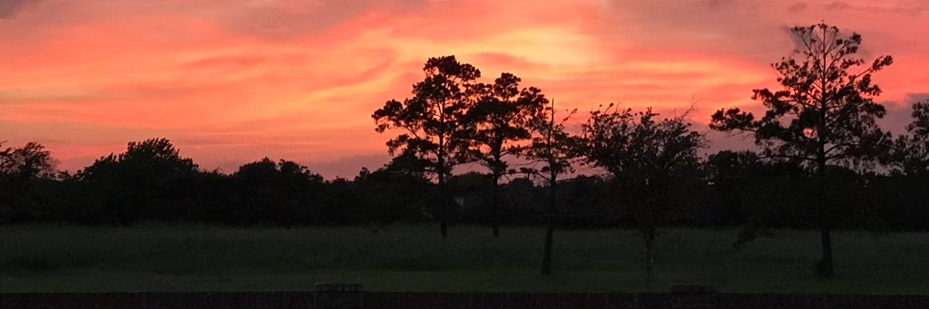 sarrob9397's profile banner image