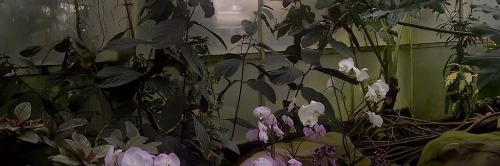 obsessivedeeds's profile banner image