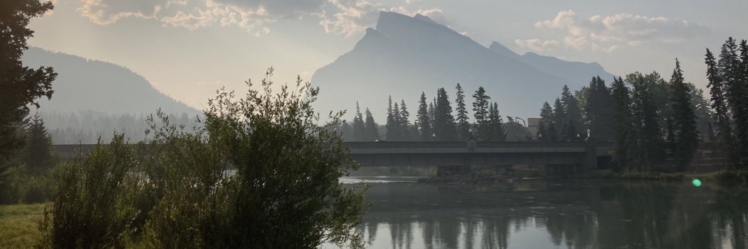 Corrie DiManno banner