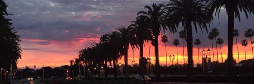 ღ banner
