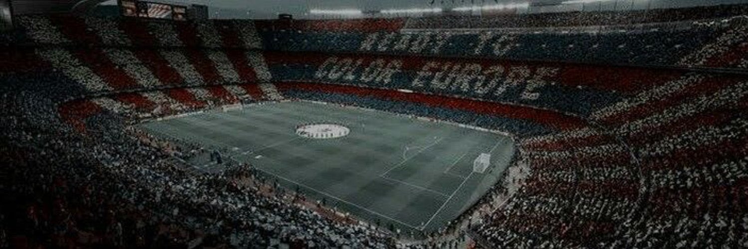 (Fan) Max Stéph's banner