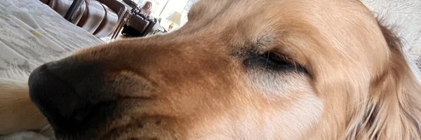Jolyneyt Profile Banner