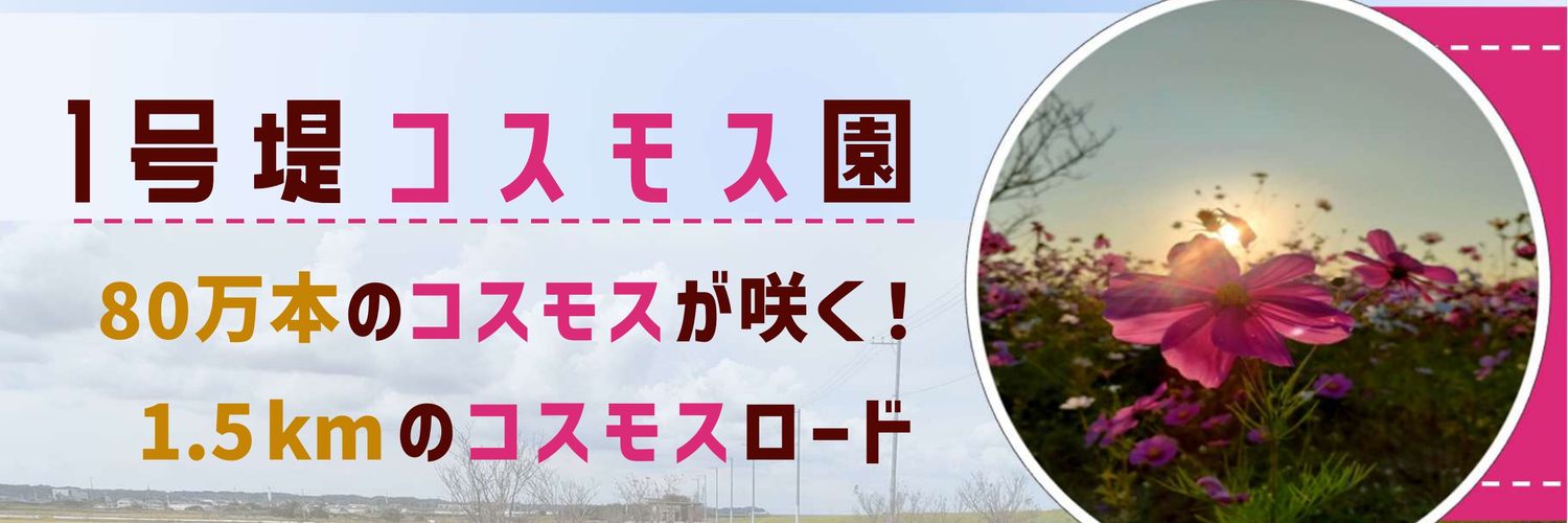 コスモスおじさん banner