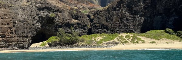 SuperBowlArod Profile Banner