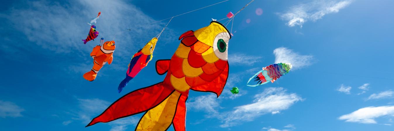 CityGreaterGeraldton banner