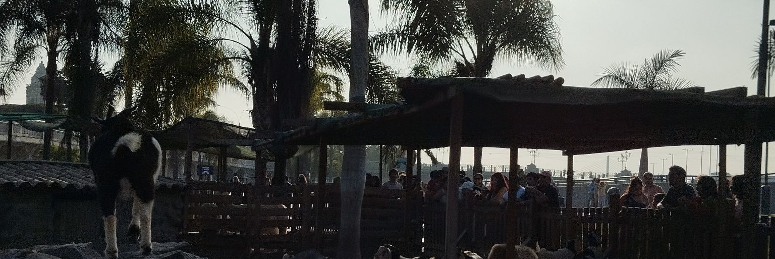 mxryaq's profile banner image