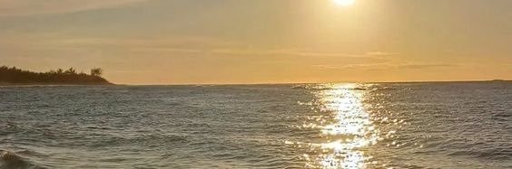 Theres Scott ☀️ (not in pelican) banner