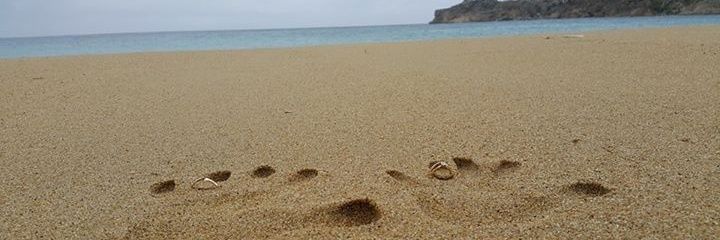 eber_allendorff's profile banner image