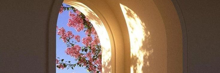ourberlins's profile banner image