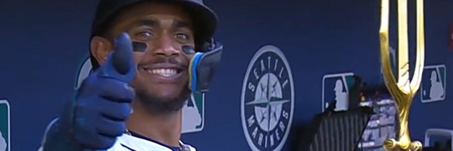 Seattle Sports Fan banner