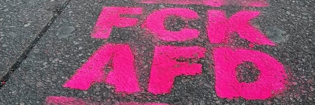 DIE LINKE Ahrweiler's banner