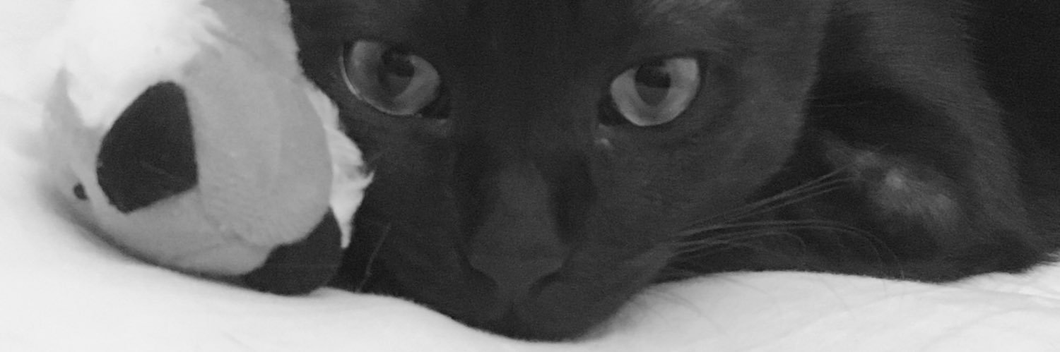 _nocccd_'s profile banner image