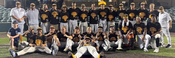 Cheese1PCL Profile Banner