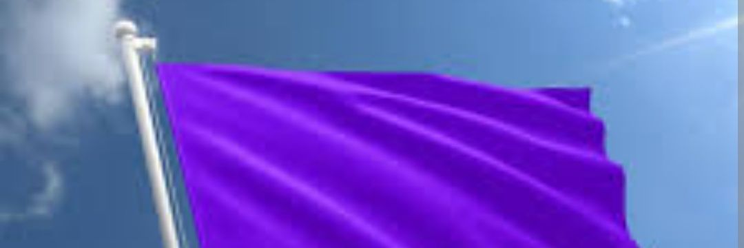 shanm74's profile banner image