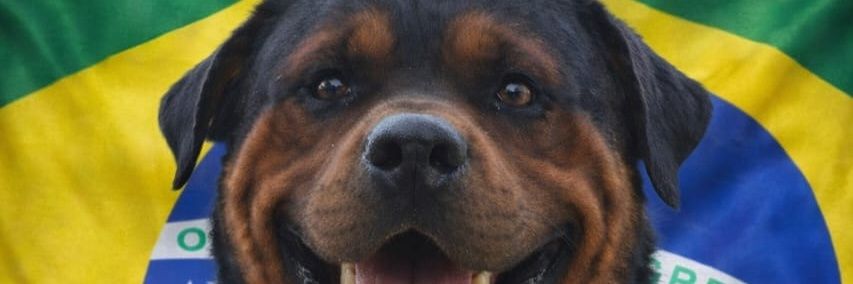 Gruby BR banner