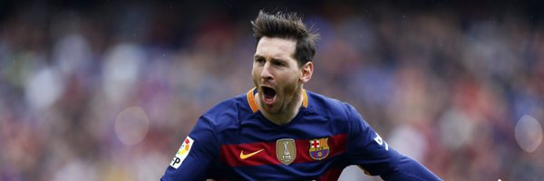 coding_bear100 Profile Banner