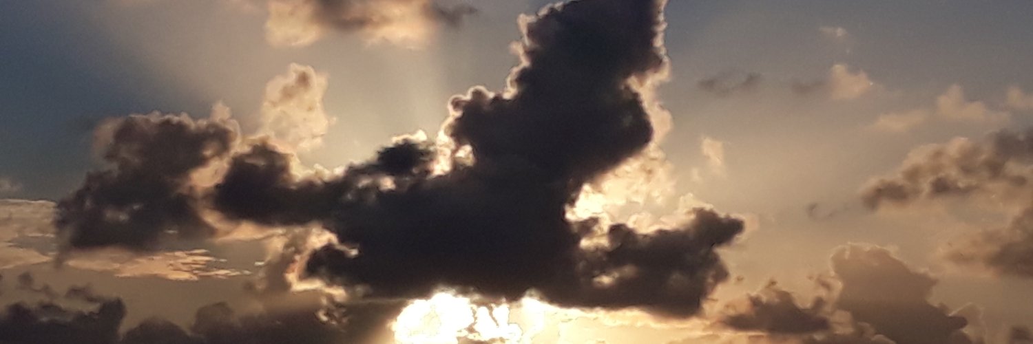 IndivisibleValues banner