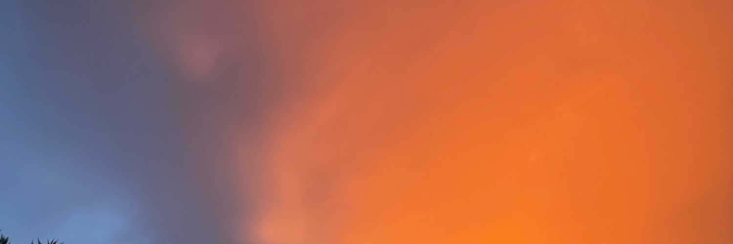 michBarokh's profile banner image