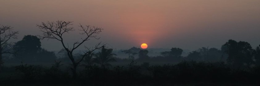 ExoticGoa's profile banner image