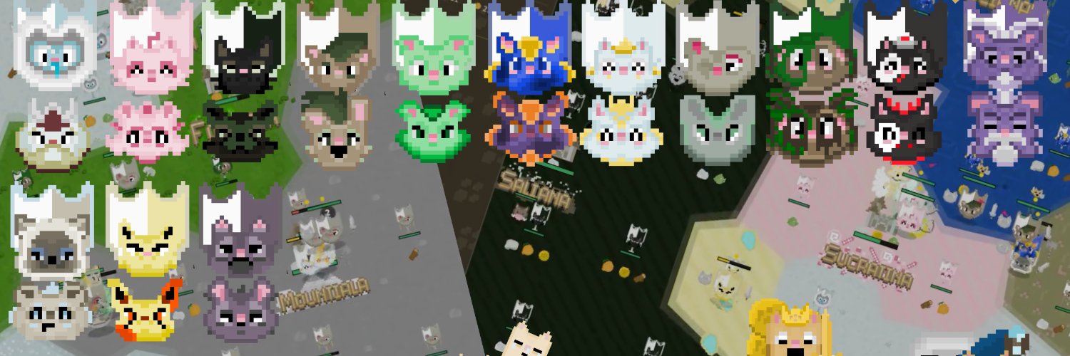 waroflyanx's profile banner image