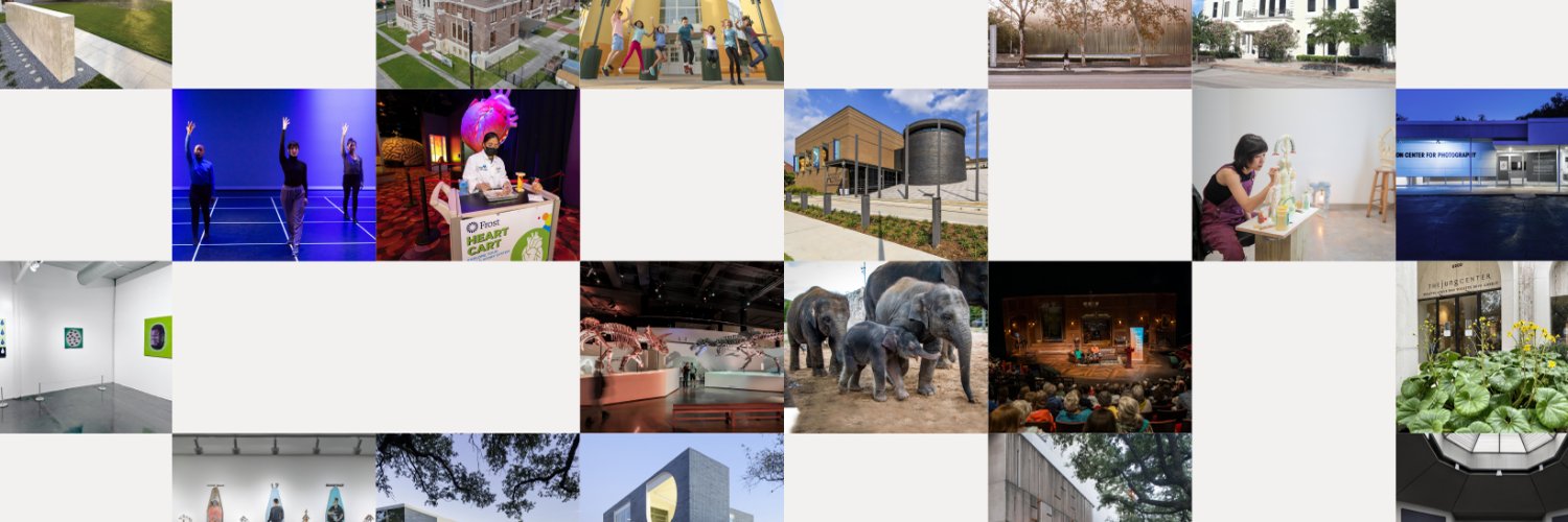 Houston Museum District banner