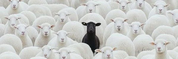 Devid91028 Profile Banner