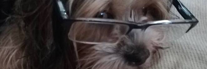 Vicdan banner