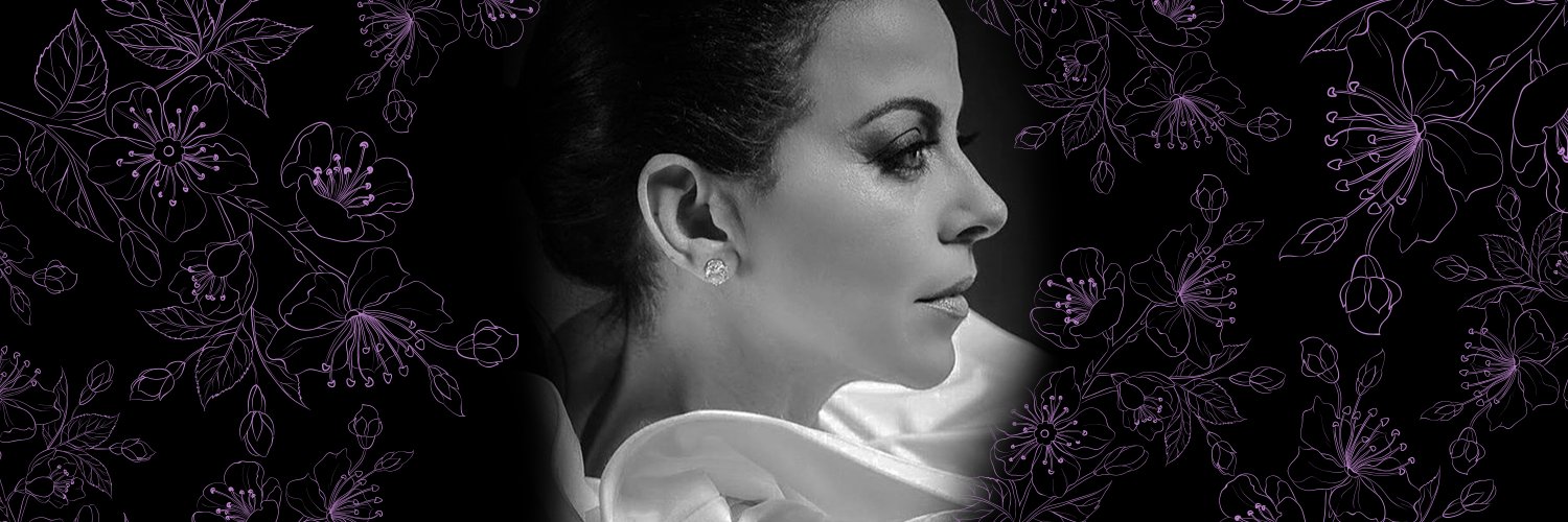 Sofialachapelle's profile banner image