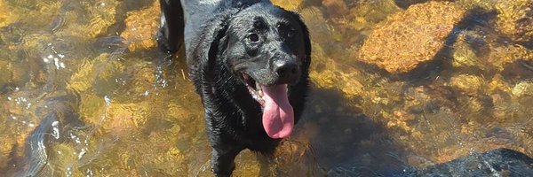 DumpsterCrocs Profile Banner