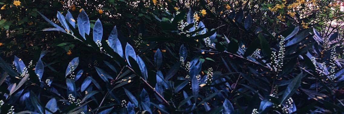 kimpschneider's profile banner image