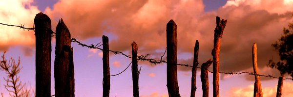 PicketFire Profile Banner