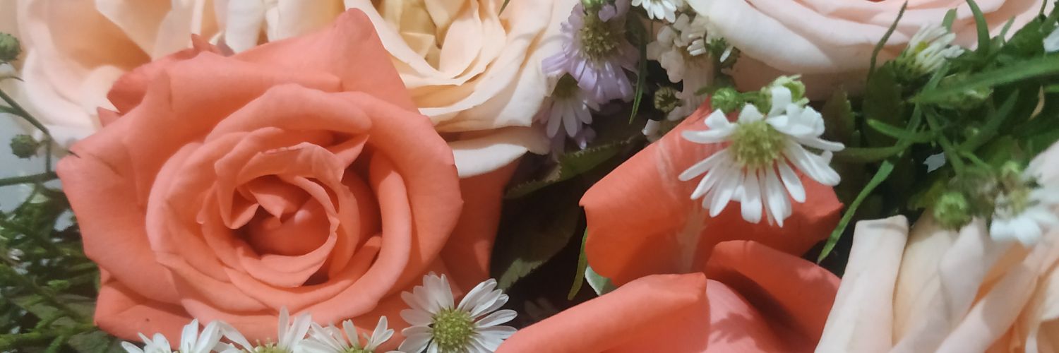 intanrhe's profile banner image
