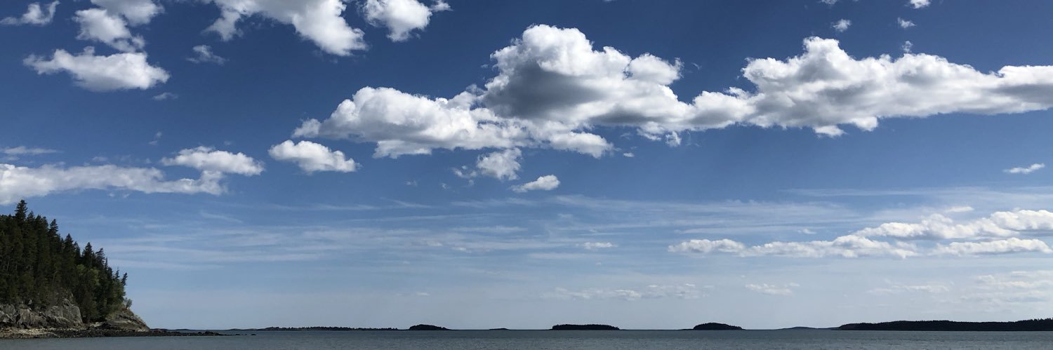 Ian Patterson banner