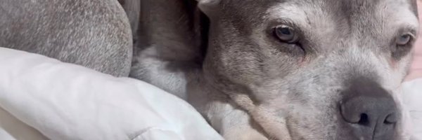 GraOficial Profile Banner