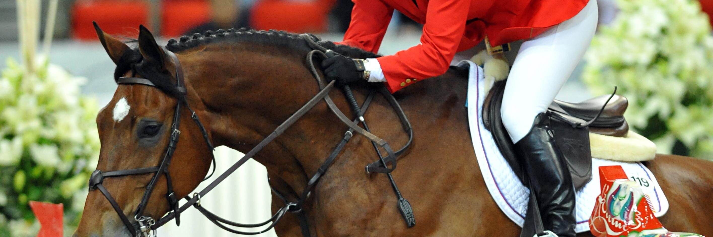 Voltaire Design banner