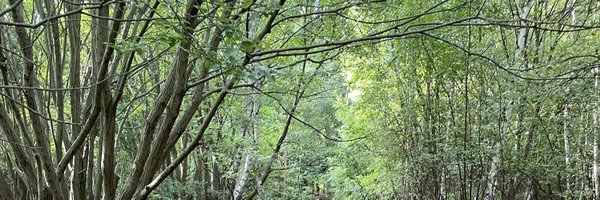 SpanxAmber Profile Banner