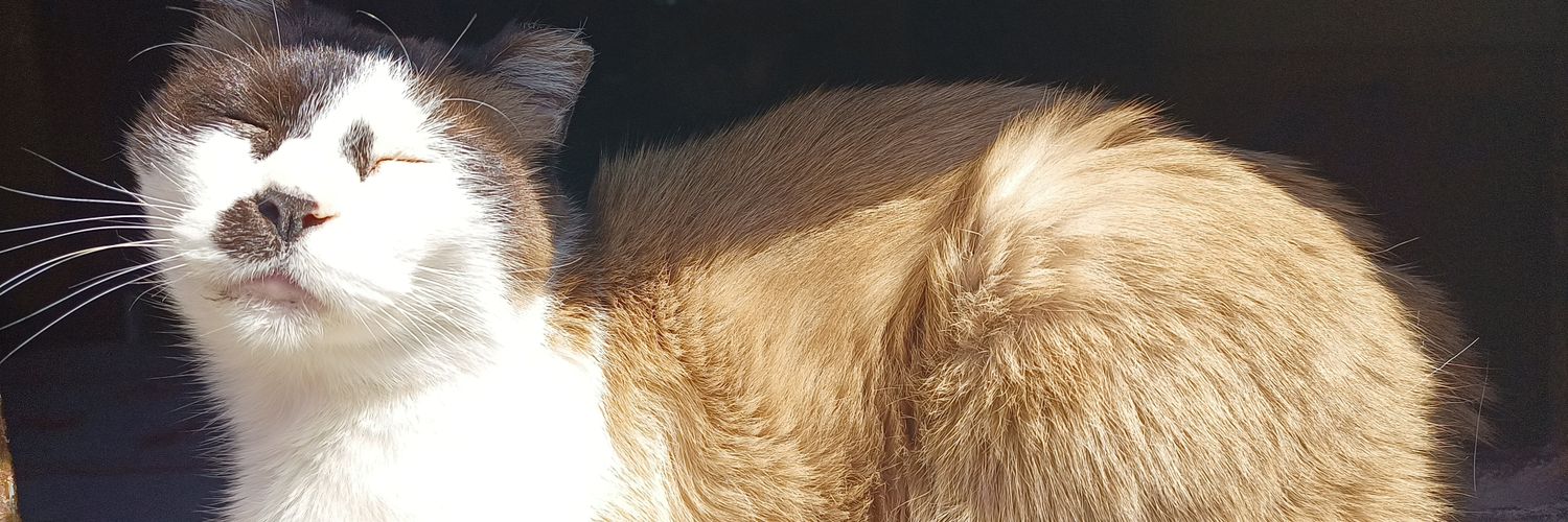 maguiatt's profile banner image
