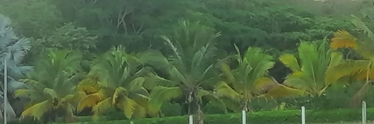 alirio gutierrez c banner