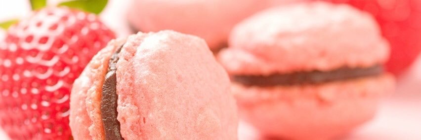 fifth_maggots's profile banner image