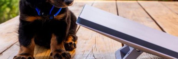 ZagaMs2 Profile Banner