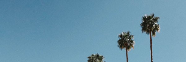 taylrn Profile Banner