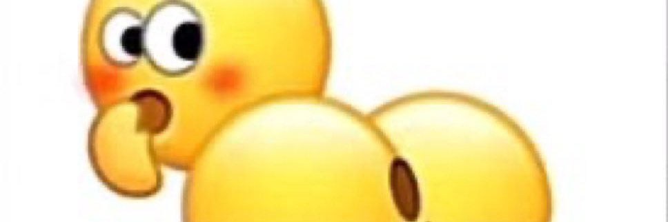 ฮอรณี พุทศรีอูม banner