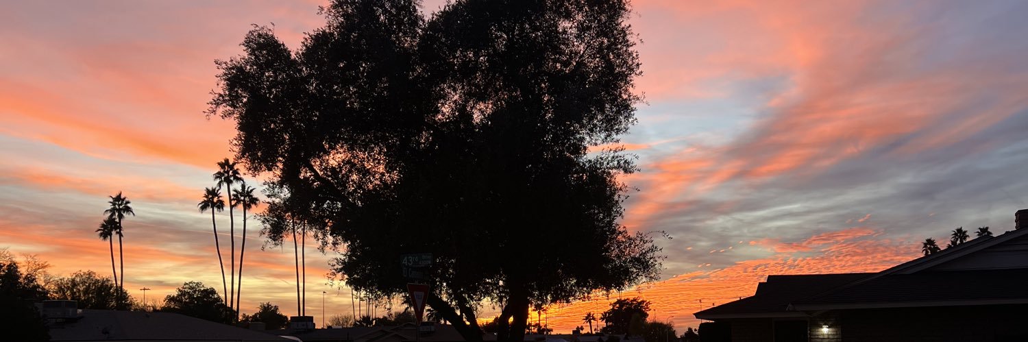 🐼 banner
